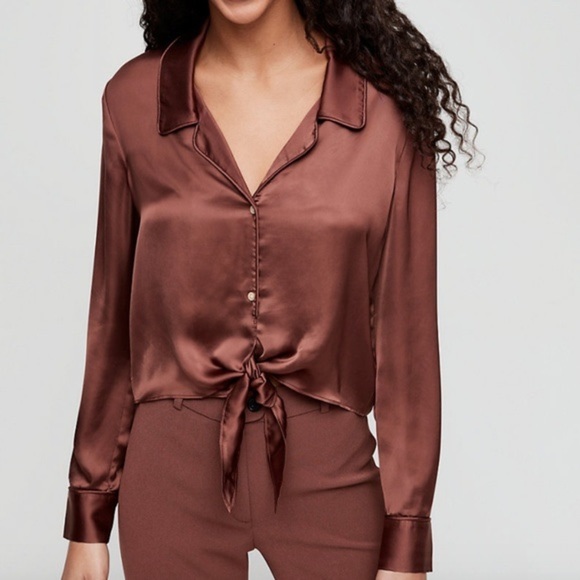 Wilfred Aritzia Tie Front Blouse Size Medium Bronze Silky Collared Long Sleeve - Picture 4 of 10